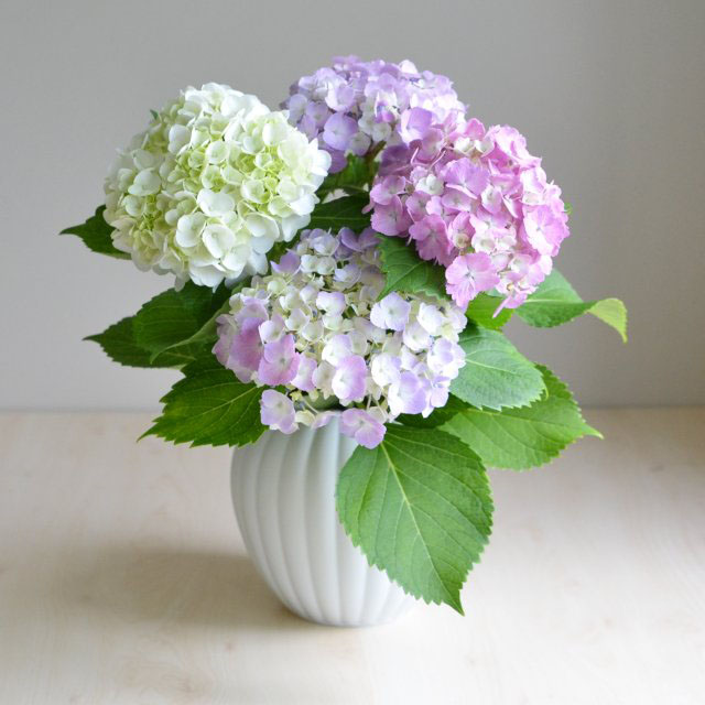 （華みやび）花瓶　*WEB有田陶器市特別割引商品*