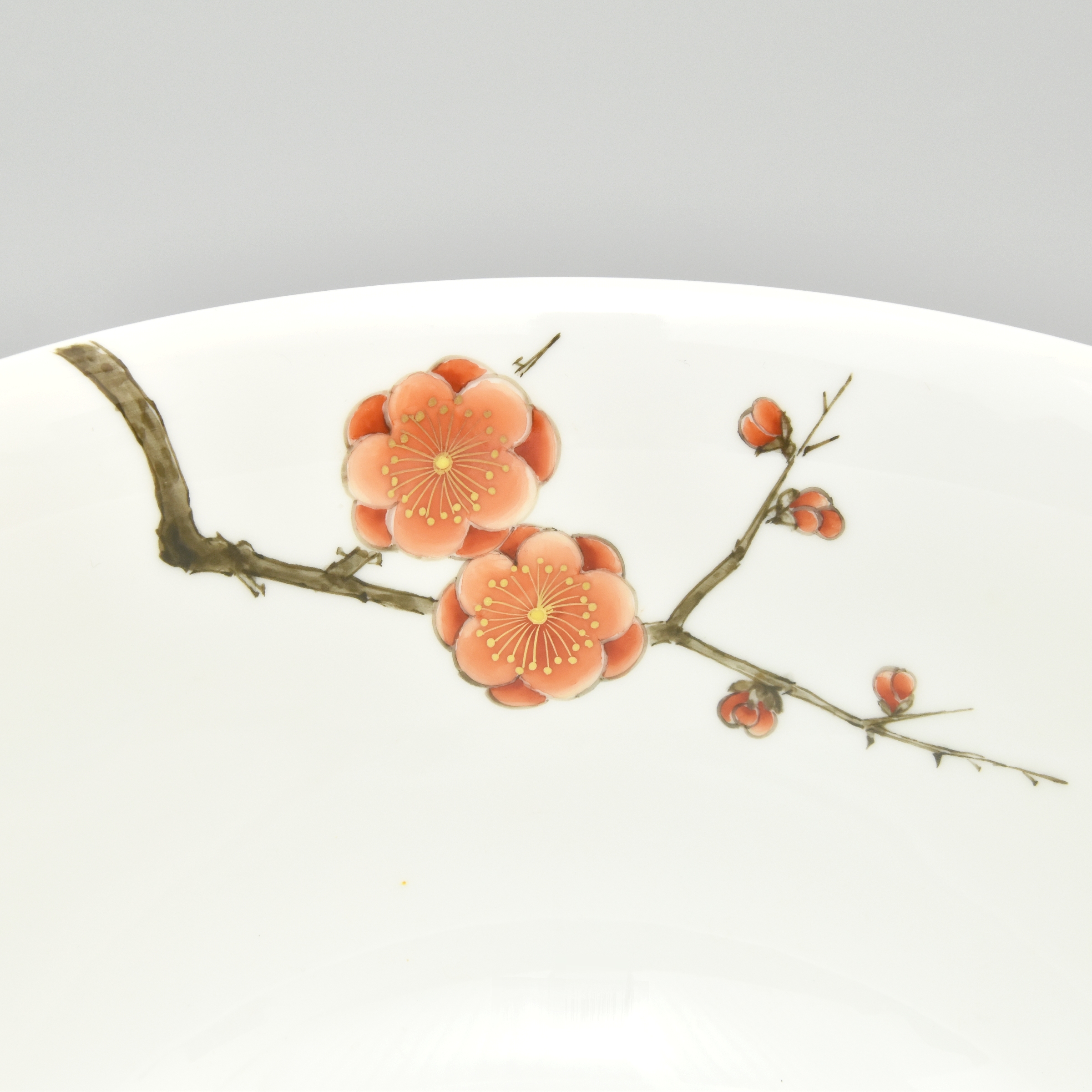 （色絵紅梅）深鉢　*オンラインショップ特別限定販売*6