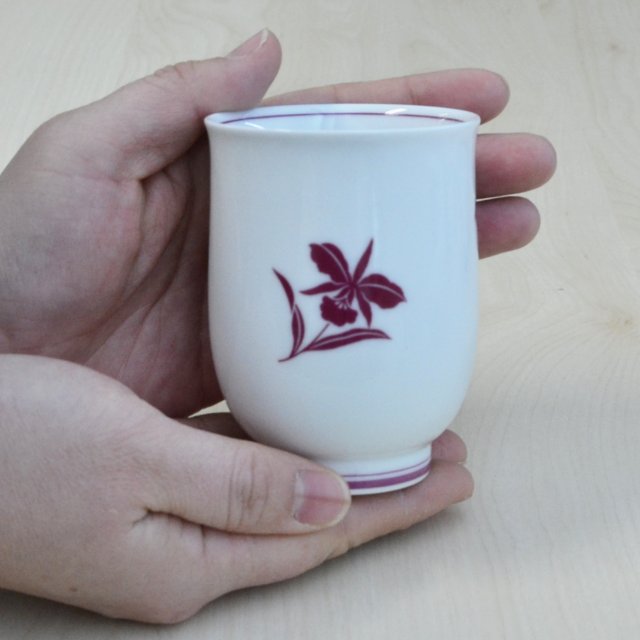 【カトレア】湯のみ（単品・箱なし）6