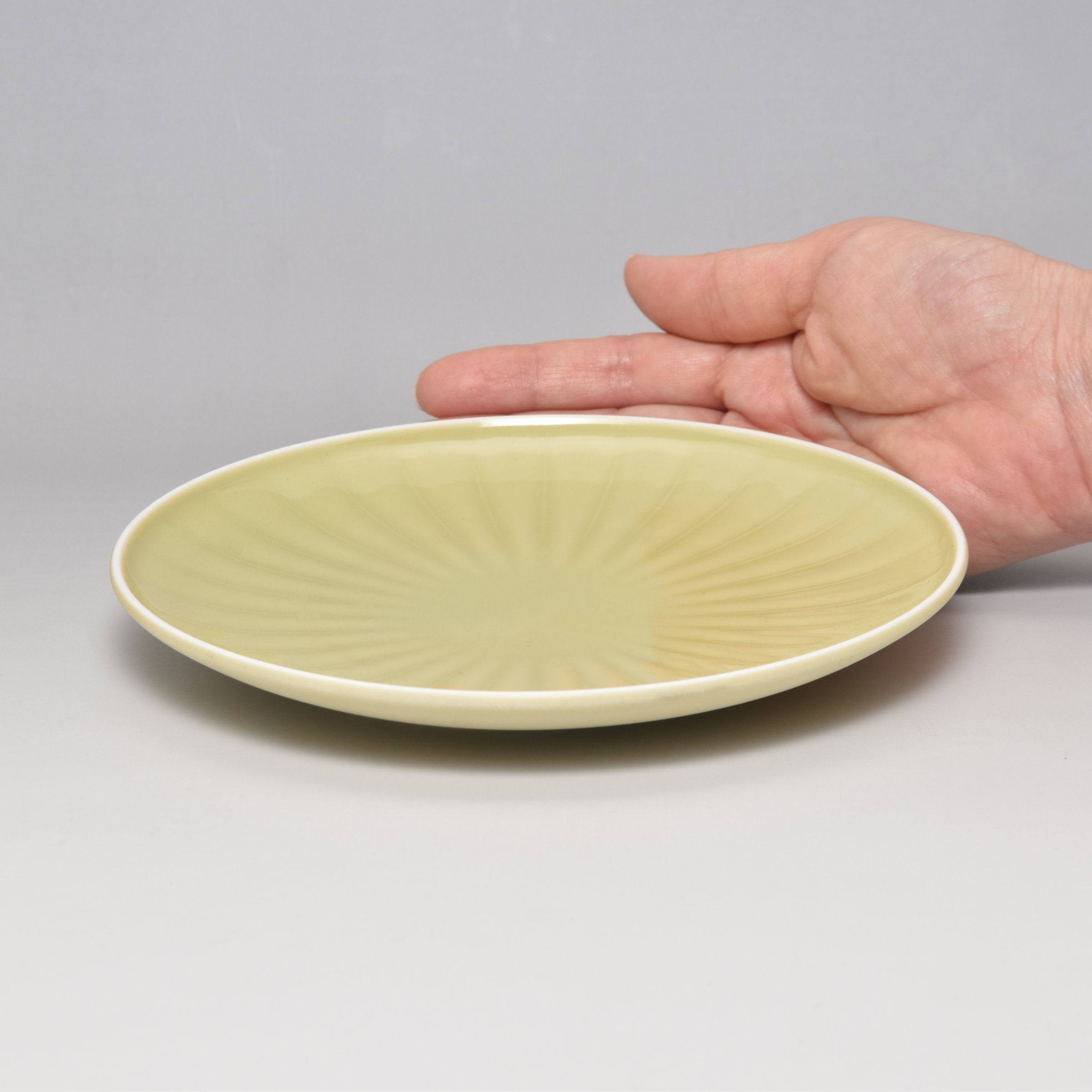 【こもれび　マスタード】新生活応援セット（マグカップ+プレート）*オンラインショップ限定*8