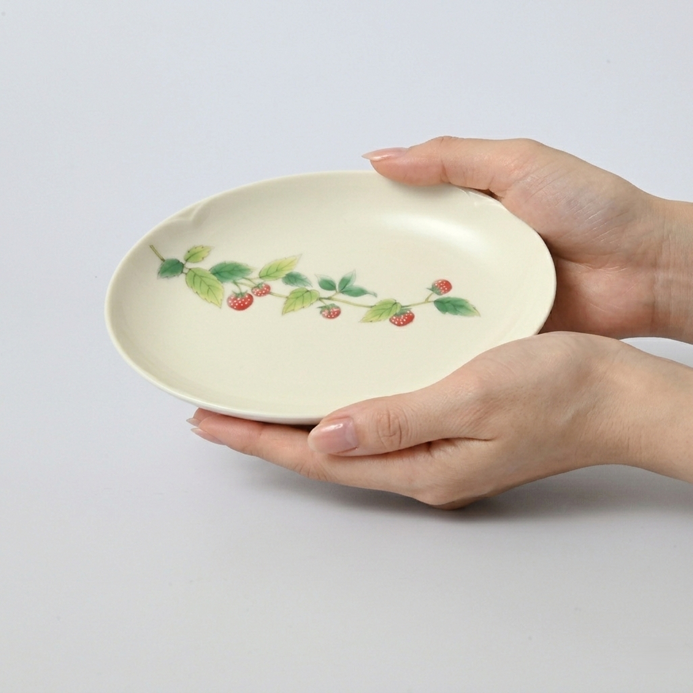 【山だより】ペア楕円小皿（長径17cm）6