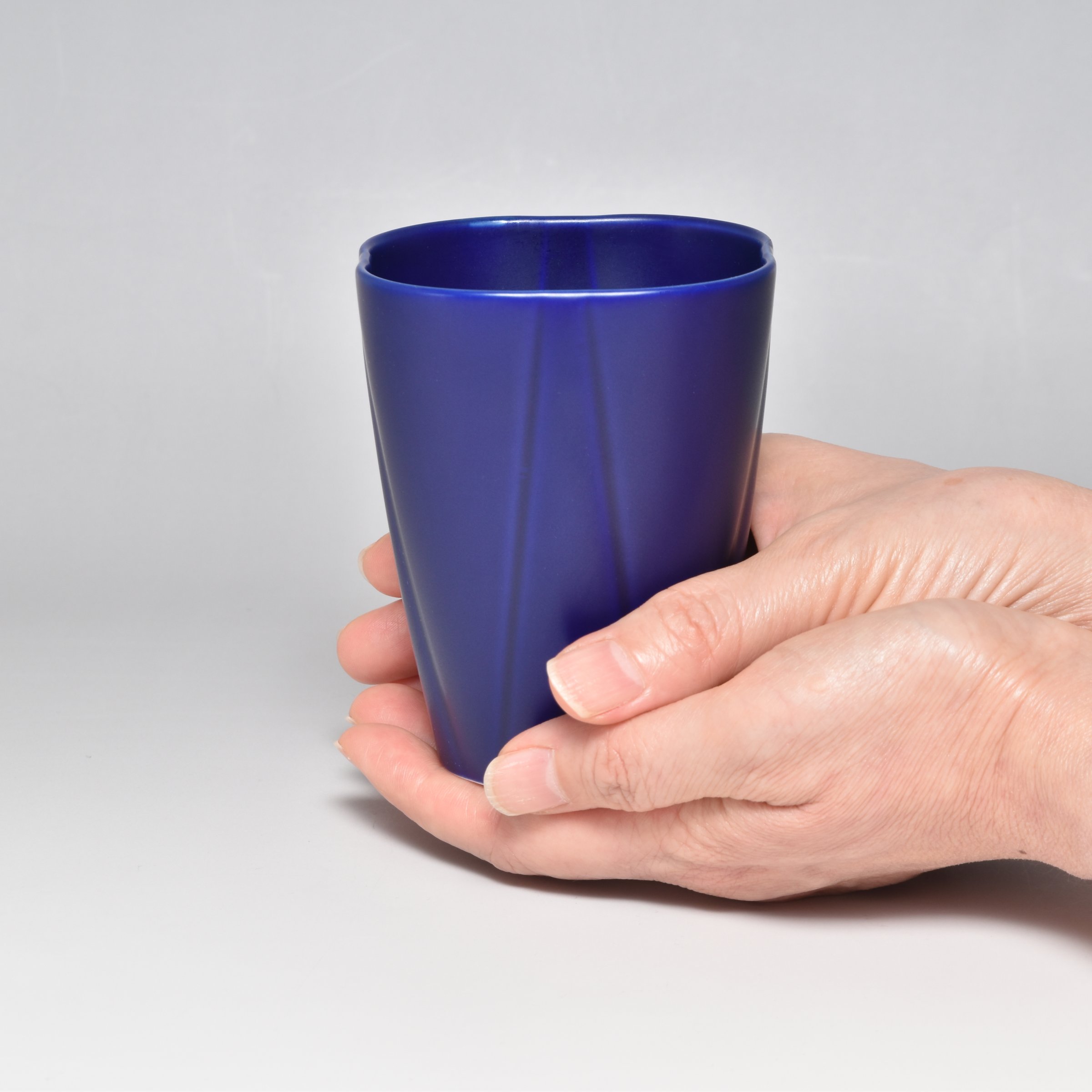 【r45°　ルリ】カップ ボウル オーバルプレート 新生活応援セット*オンラインショップ限定*5