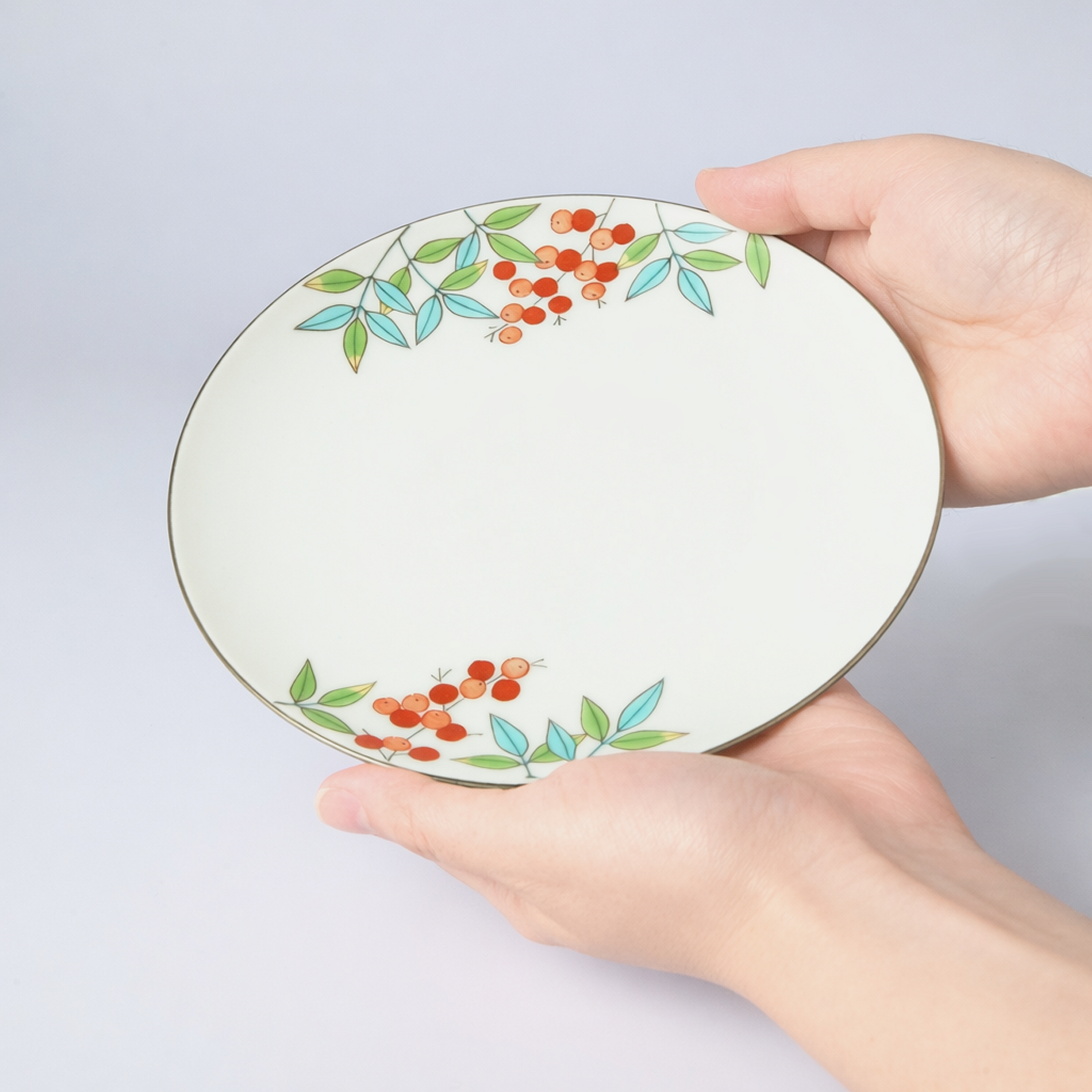 【色絵南天】中皿（径17cm）*直営店・オンラインショップ限定商品*5