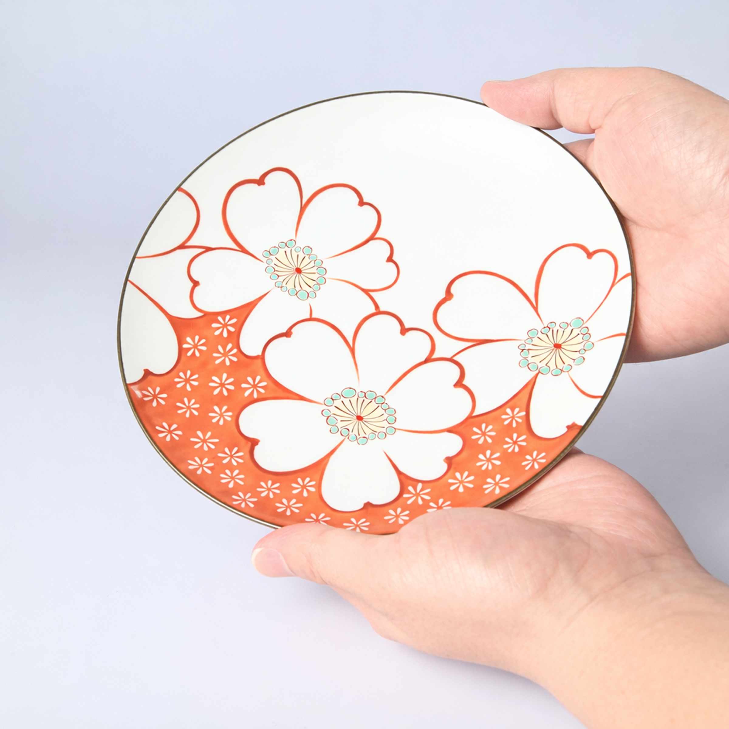 【山茶花】中皿（径17cm）*直営店・オンラインショップ限定商品*5