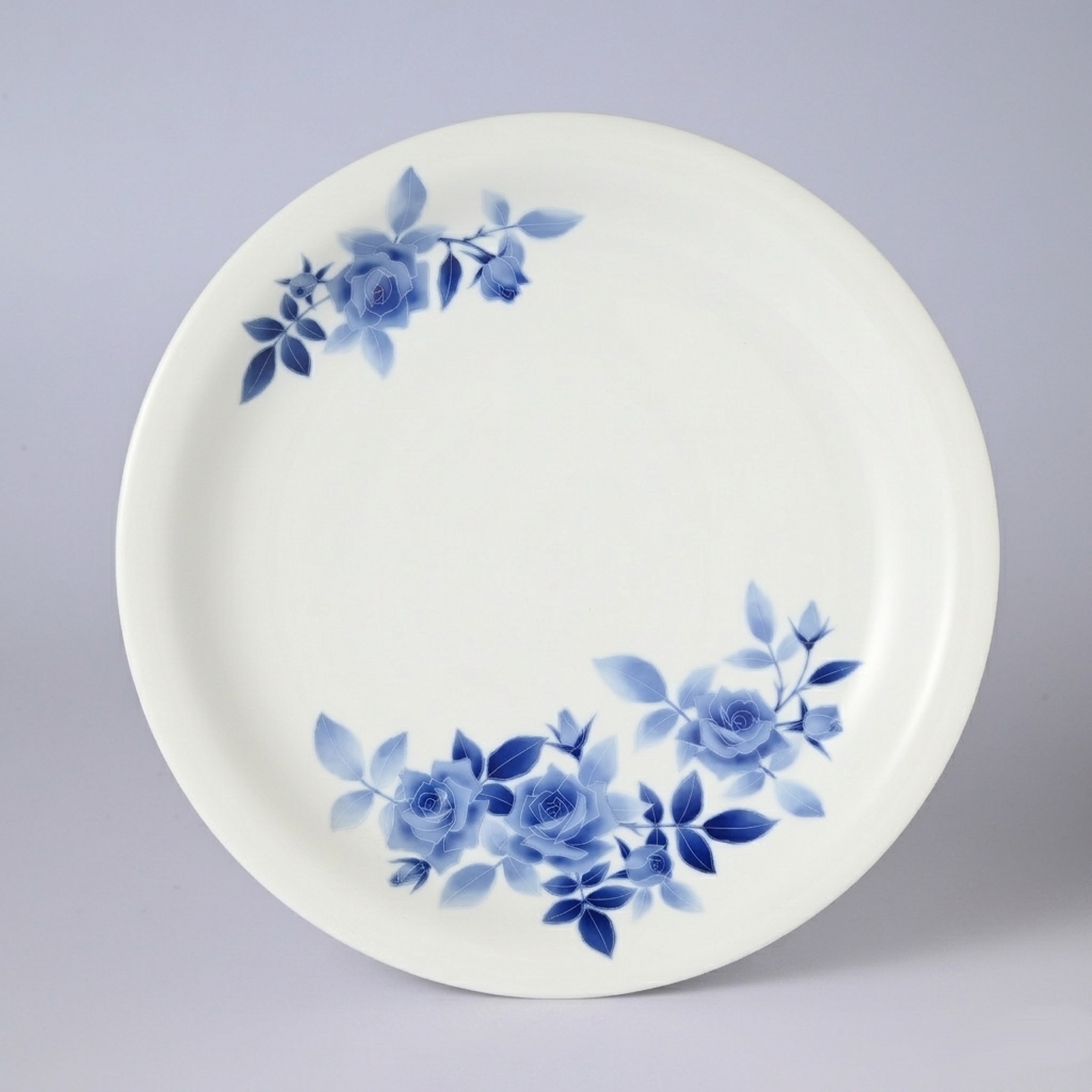 【サムシングブルー】27.5cmプレート 　箱なし・単品　*有田陶器市特別価格 アウトレット品*