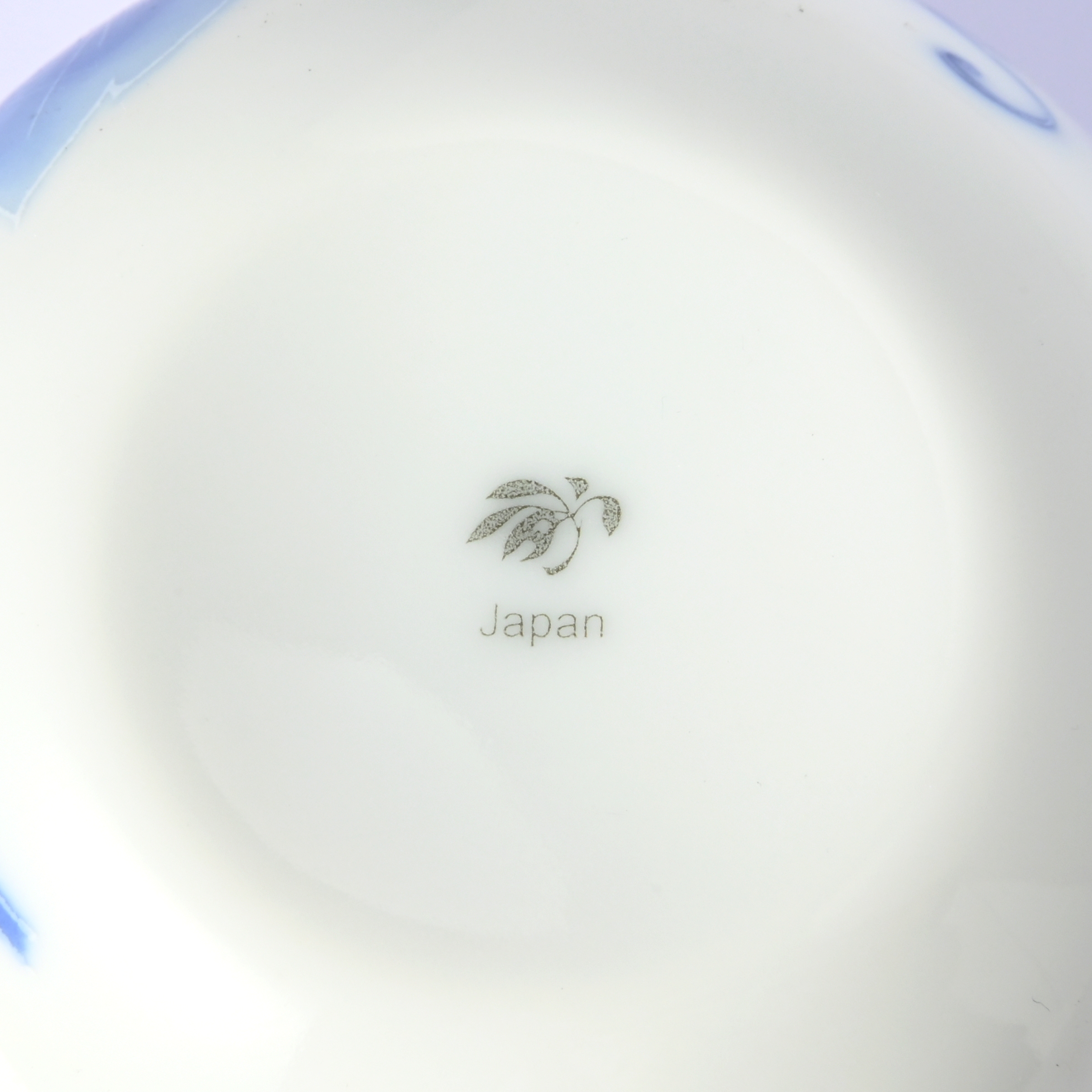 【野ぶどう】マグカップ 　箱なし・単品　*有田陶器市特別価格 アウトレット品*6