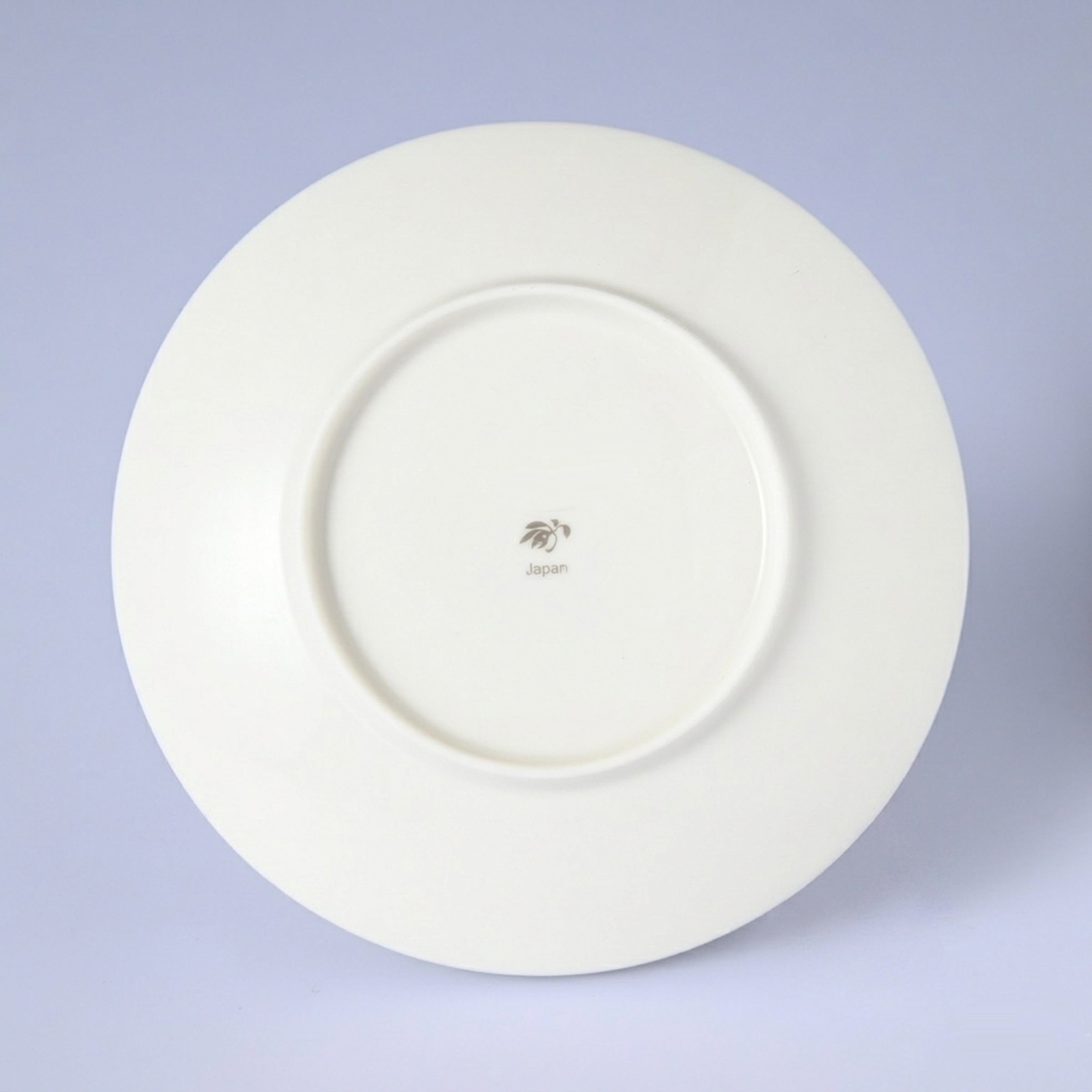 【ブライトローズ】小皿（13cm）　箱なし・単品　*有田陶器市特別価格 アウトレット品*4