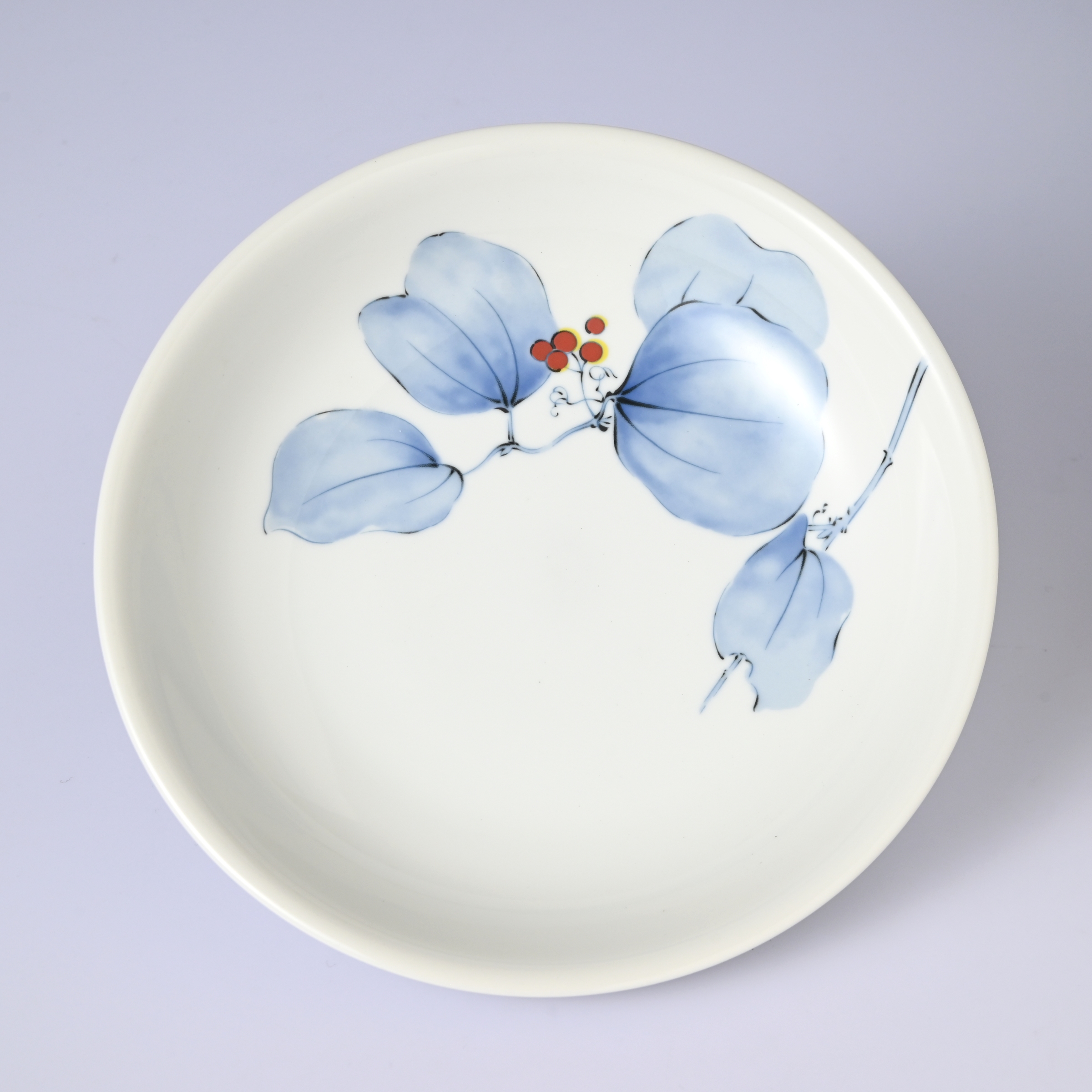 【山帰来】パスタ皿（径21cm）　箱なし・単品　*有田陶器市特別価格 アウトレット品*