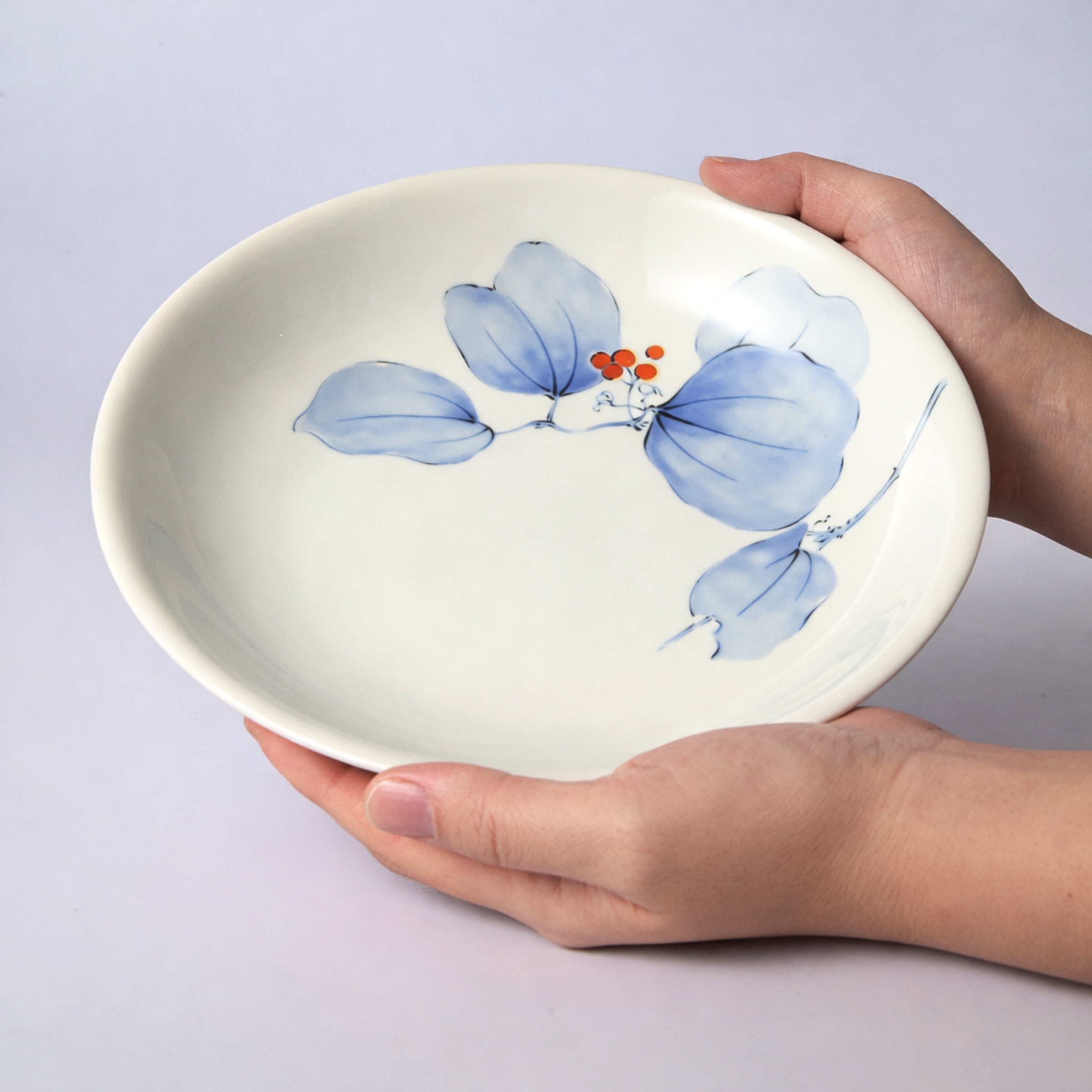 【山帰来】パスタ皿（径21cm）　箱なし・単品　*有田陶器市特別価格 アウトレット品*3