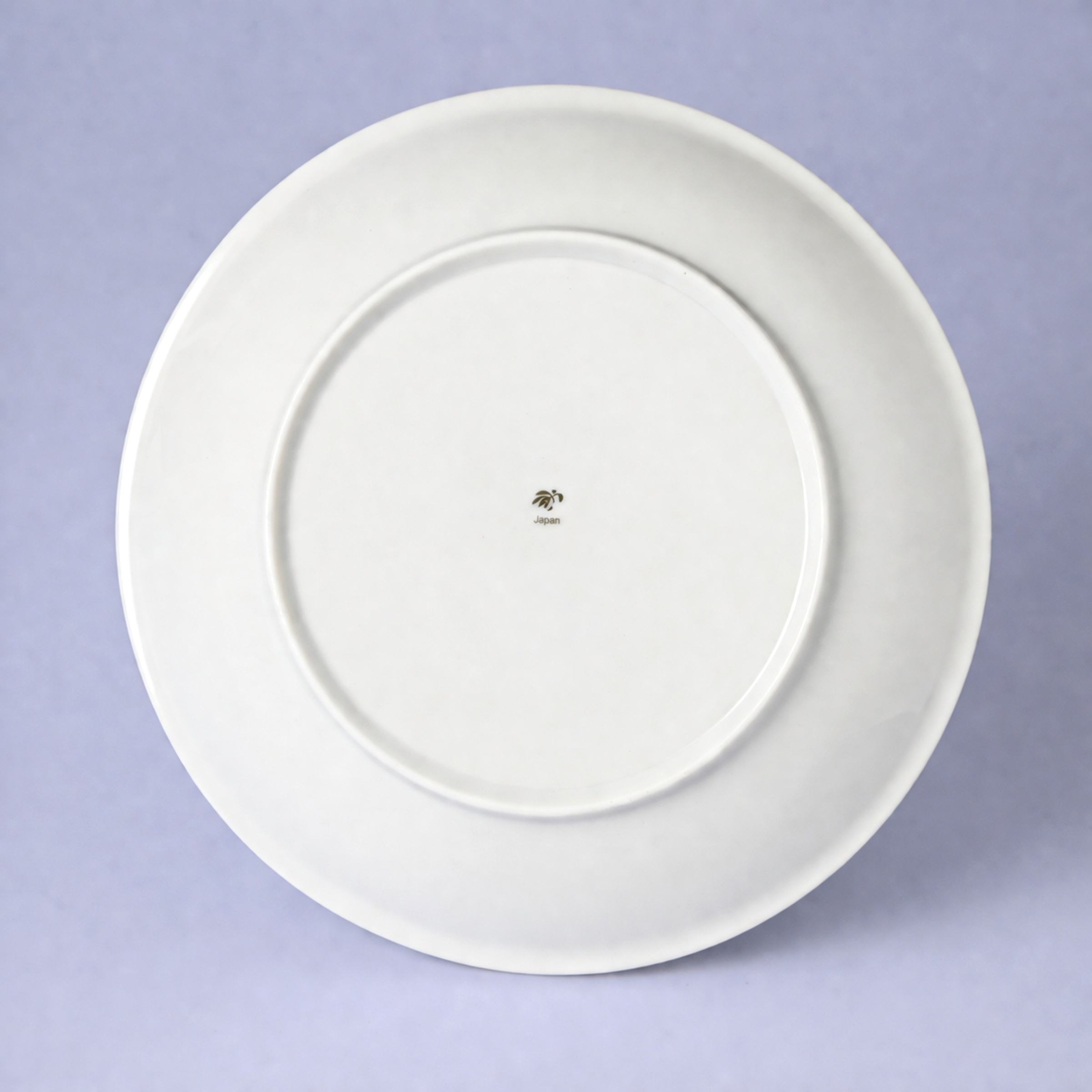 【山帰来】パスタ皿（径21cm）　箱なし・単品　*有田陶器市特別価格 アウトレット品*4