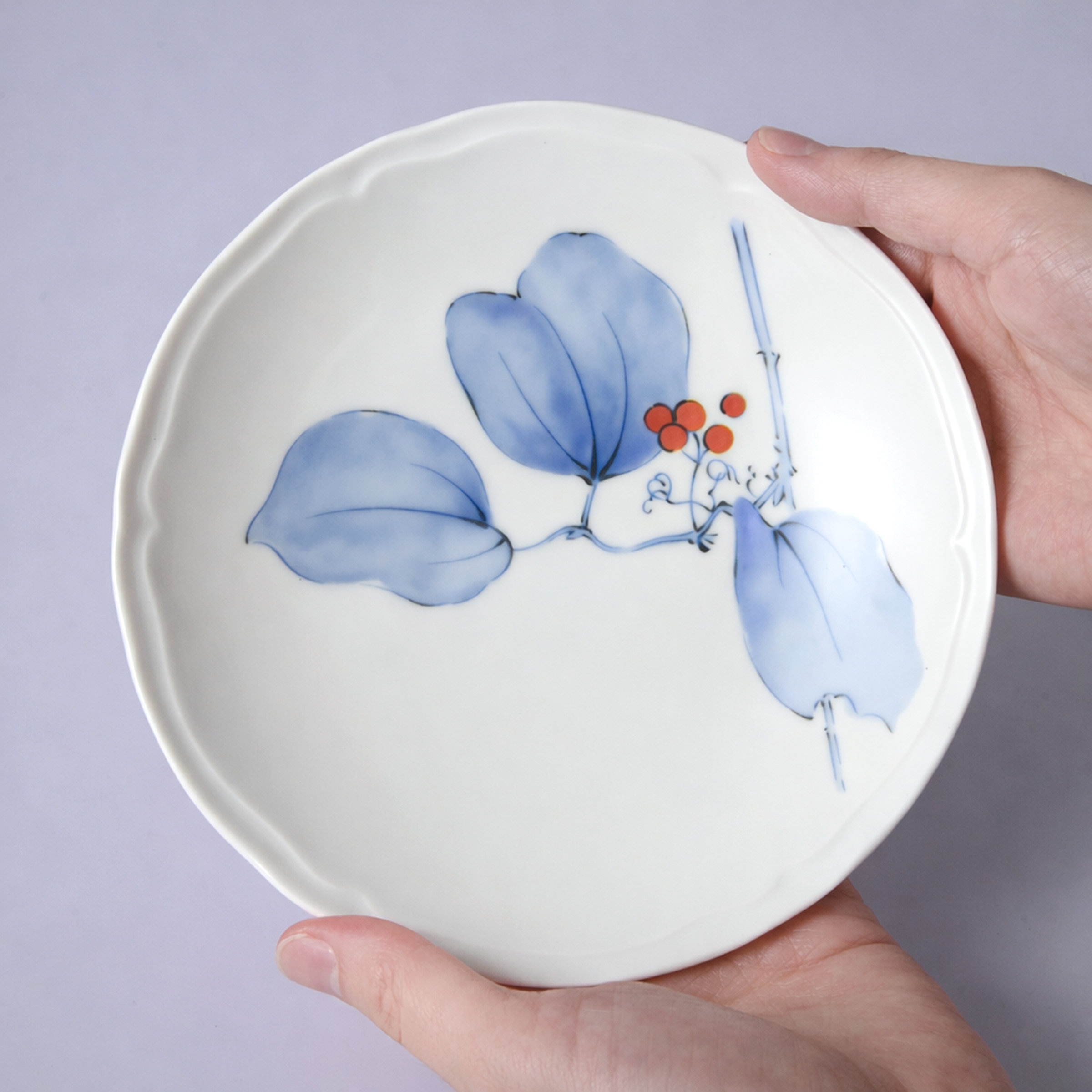 【山帰来】16cm中皿プレート　箱なし・単品　*有田陶器市特別価格 アウトレット品*3