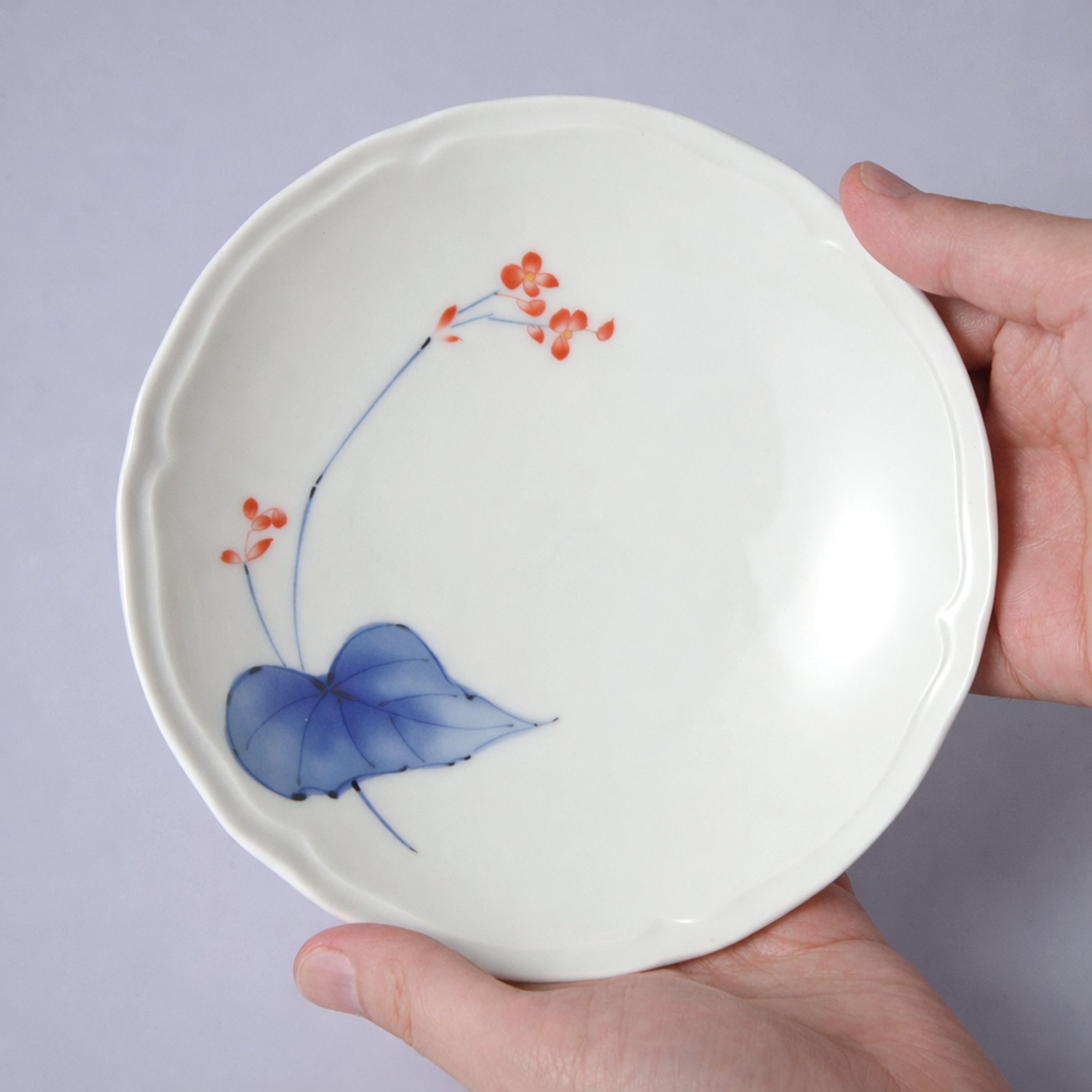 【相思花】16cm中皿プレート　箱なし・単品　*有田陶器市特別価格 アウトレット品*3