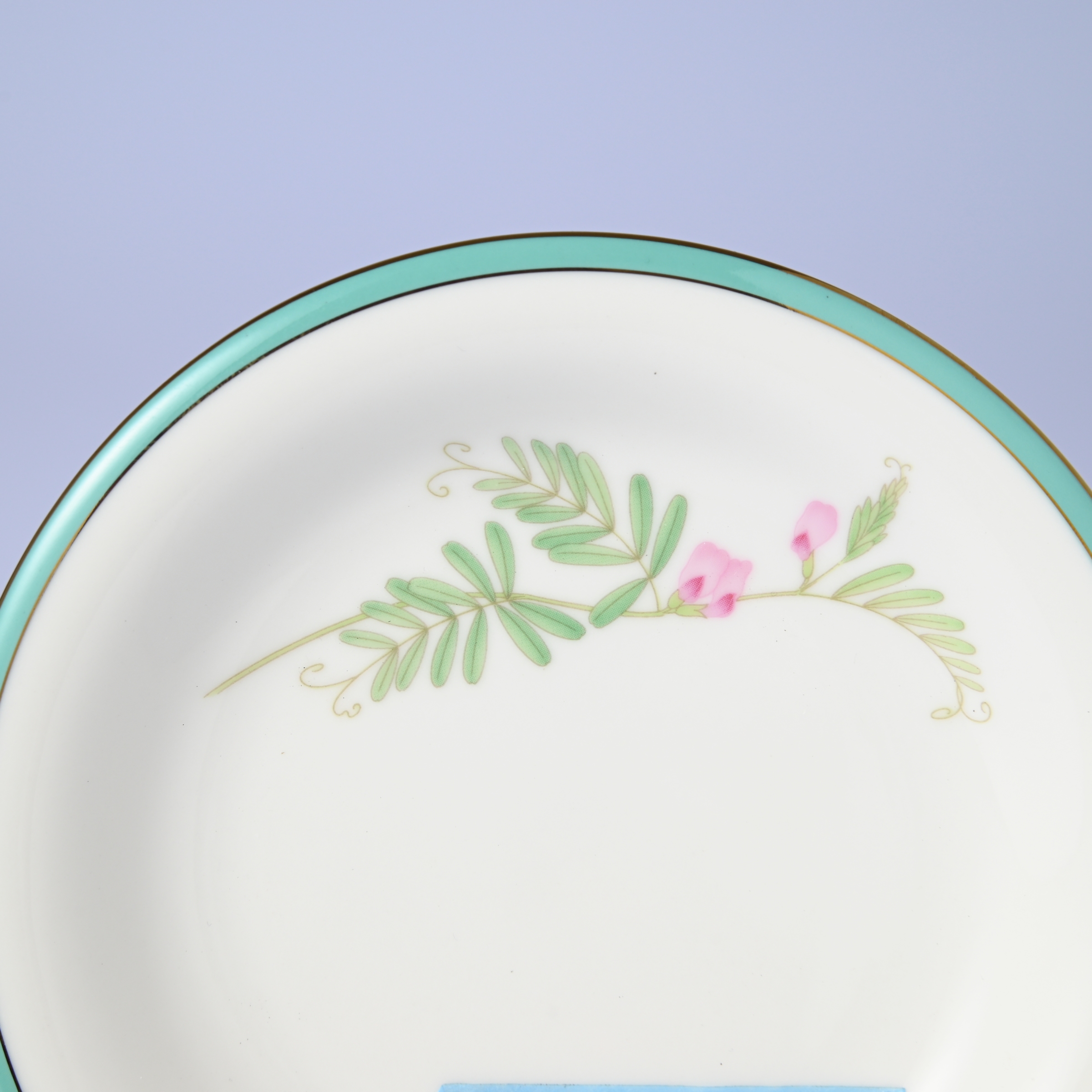 【みちくさ・カラスノエンドウ】14.5cm中皿プレート　箱なし・単品　*有田陶器市特別価格 アウトレット品*2