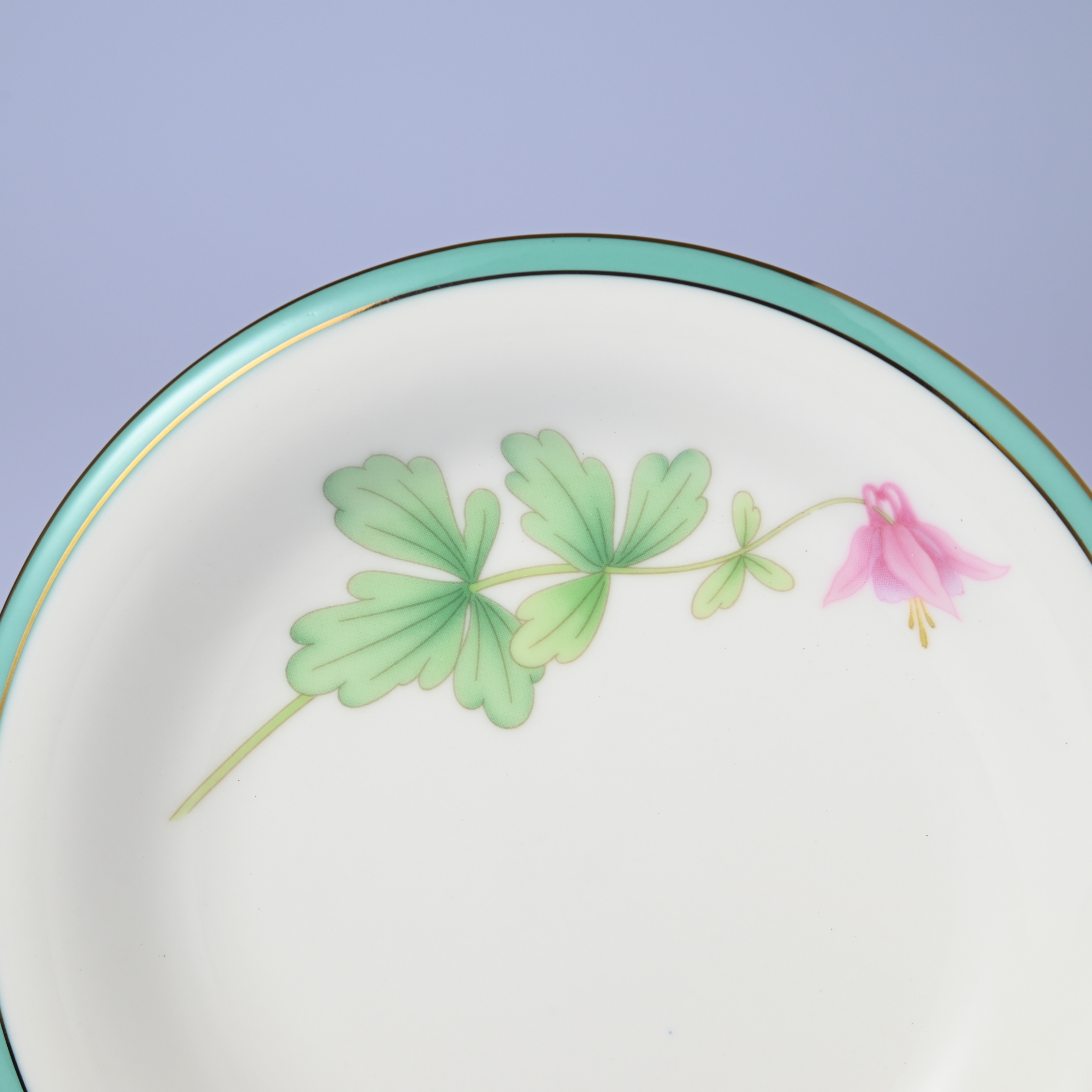 【みちくさ・オダマキ】14.5cm中皿プレート　箱なし・単品　*有田陶器市特別価格 アウトレット品*2