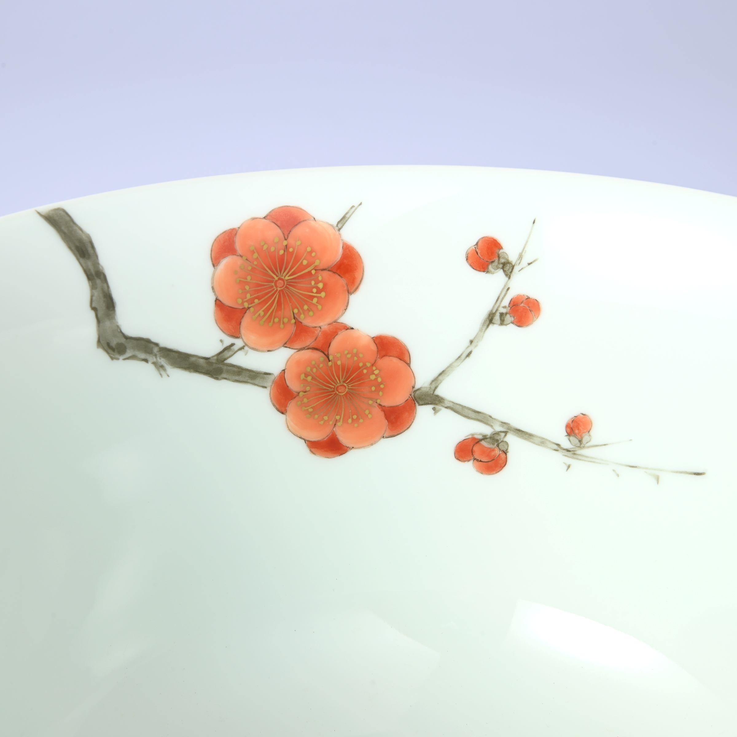 【色絵紅梅】深鉢（渕赤濃）　*オンラインショップ特別限定販売*6